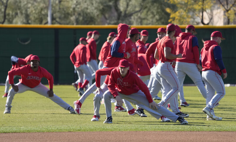 MLB: Spring Training-Los Angeles Angels Workouts